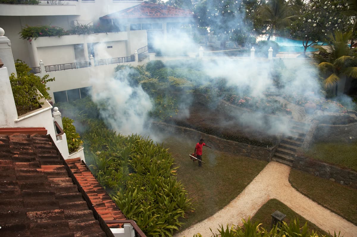 Técnico realizando tratamiento de fumigación para control de plagas en Mérida en zona residencial